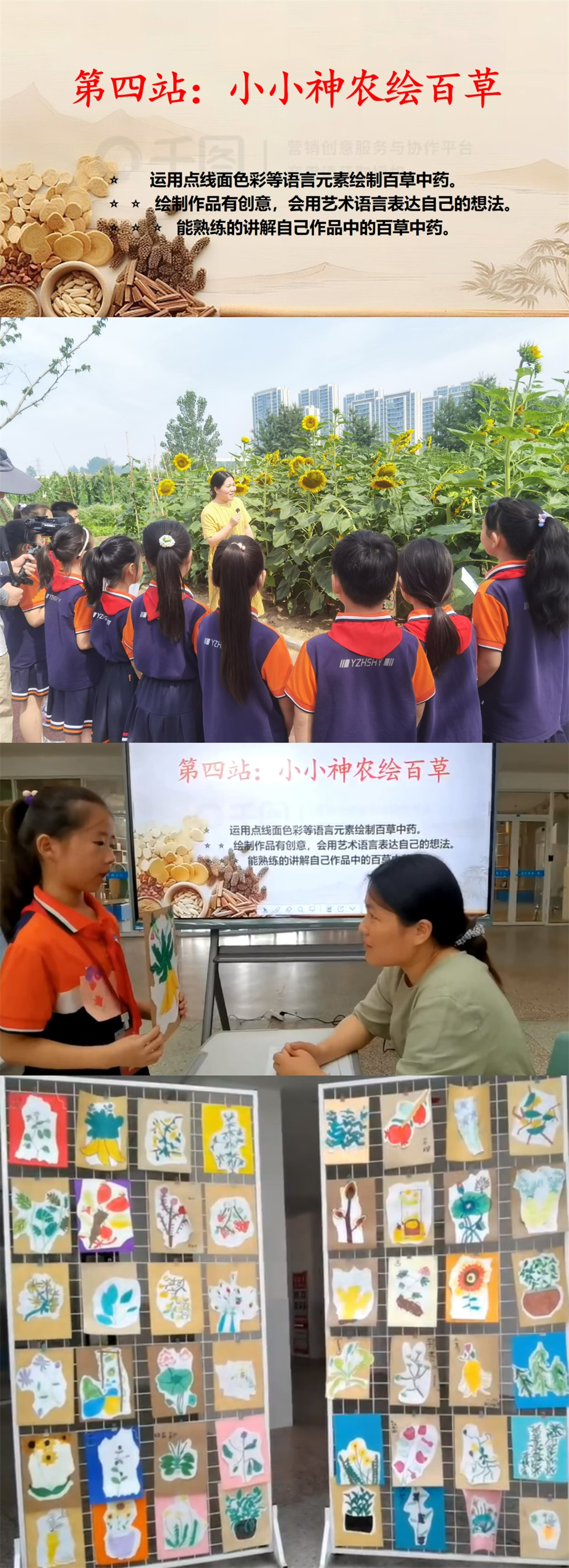 图片八.jpg